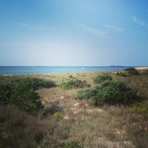 First Landing State Park in Virginia Beach